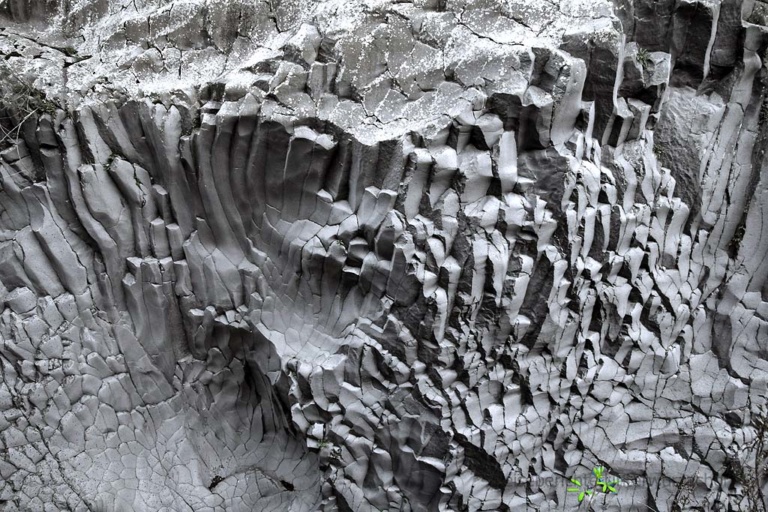 Schlucht von Alcantara: Nur wenige Pflanzen halten sich in den Seitenwänden aus basaltischem Lavagestein