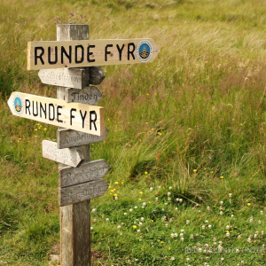 ... immer geradeaus ...