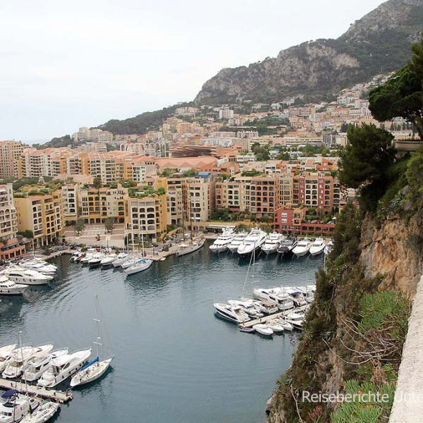 Der alte Hafen in Monaco mit Möwe ...