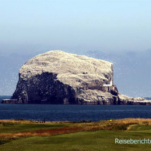 North Berwick: Der berühmte Vogelfelsen "Bass Rock" ...